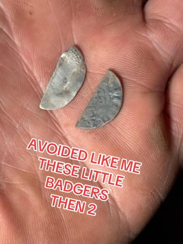 my first half cut hammered coins in two years of detecting all found on the same night