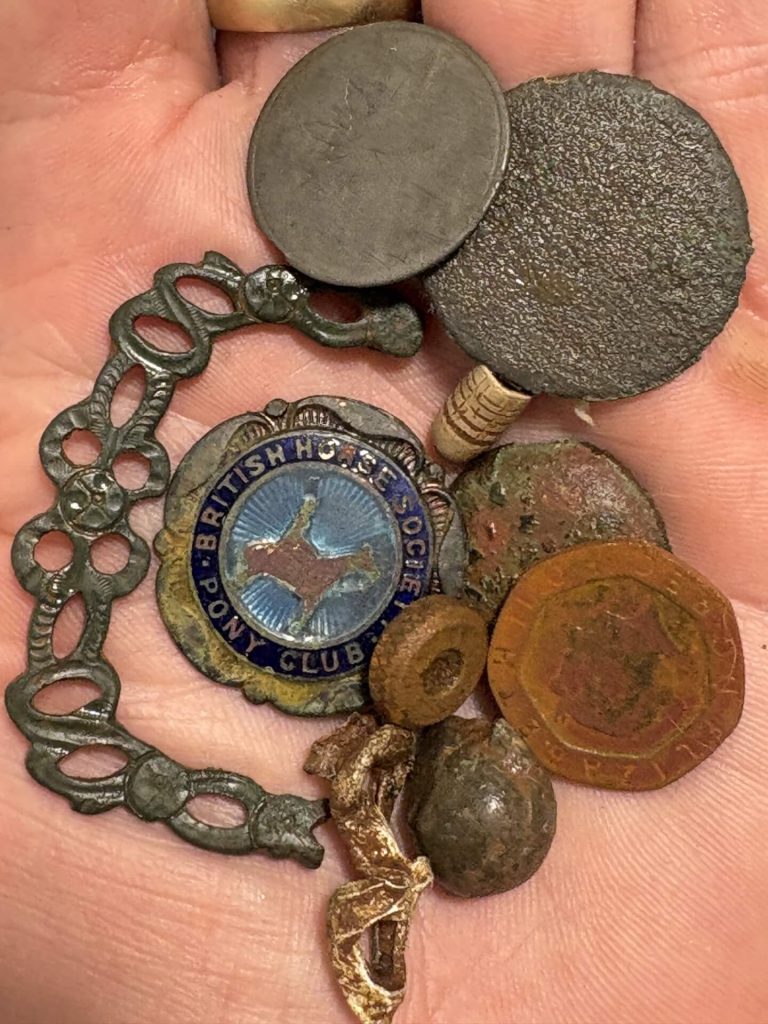 what a stunning collection, the badge of the British horse society, and what a belter of a decorative half a Georgian buckle.