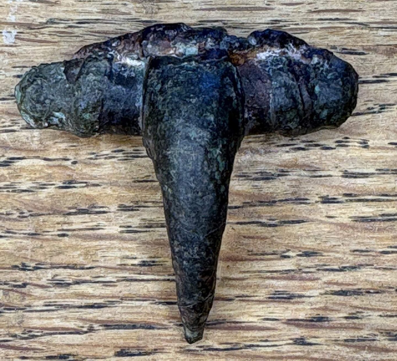 A Roman Dolphin shaped fibula brooch.